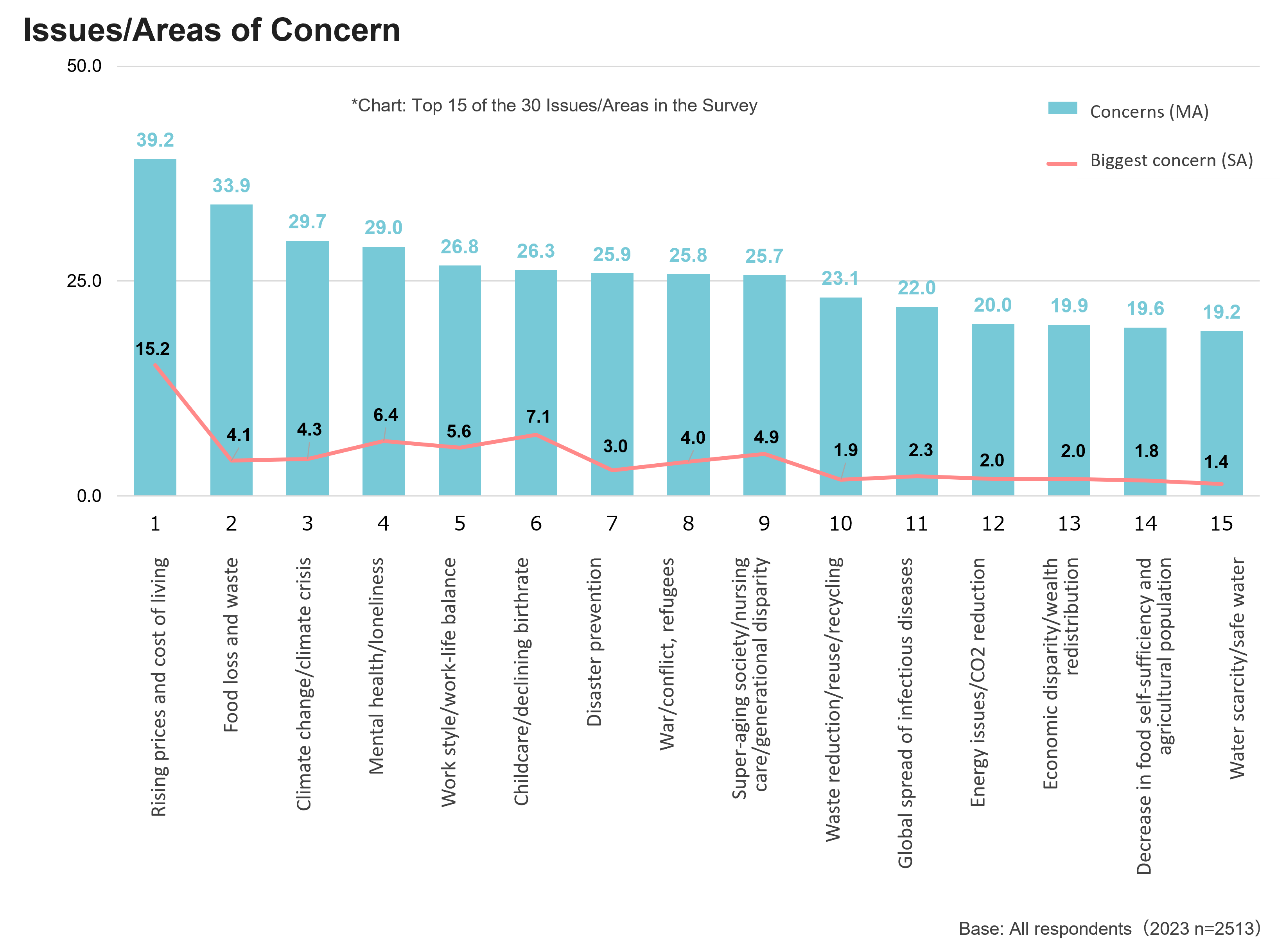 Issues/Areas of Concern